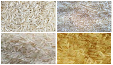 1121 Basmati Rice