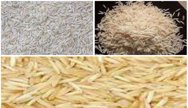 1509 Basmati Rice