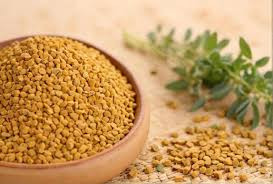 Fenugreek (Methi)